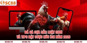 đá gà cựa sắt