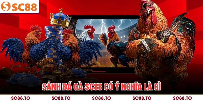 Sảnh đá gà SC88 có ý nghĩa là gì